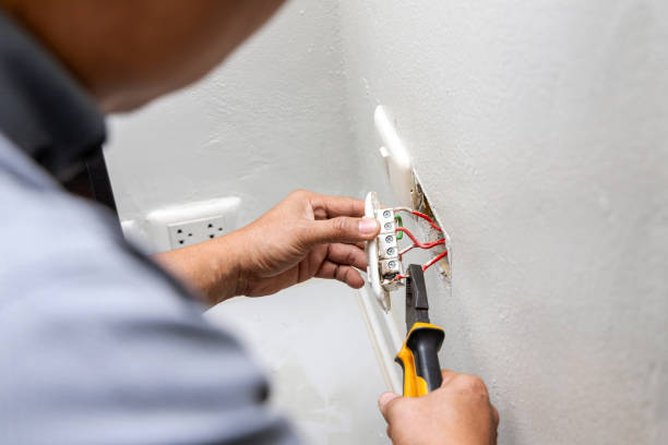 Best Licensed Electrician  in Allendale, NJ
